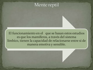 El funcionamiento en el que se basan estos estudios
       es que los mamíferos, a través del sistema
límbico, tienen la capacidad de relacionarse entre si de
               manera emotiva y sensible.
 