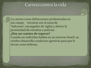 La carrera como delincuentes profesionales en
ese campo iniciarse con la tarea de
“halcones”, encargados de vigilar y alertar la
proximidad de extraños o policías.
¿Hay un camino de regreso?
Cuando un individuo habita en un entorno hostil, su
cerebro desarrolla conductas agresivas para que le
sirvan como defensa.
 