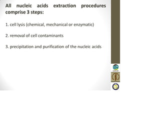 All nucleic acids extraction procedures
comprise 3 steps:
1. cell lysis (chemical, mechanical or enzymatic)
2. removal of cell contaminants
3. precipitation and purification of the nucleic acids
 