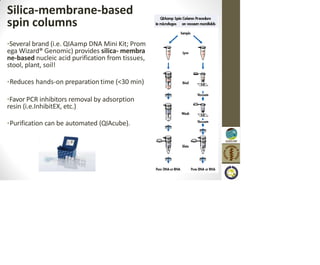 Silica-membrane-based
spin columns
•Several brand (i.e. QIAamp DNA Mini Kit; Prom
ega Wizard® Genomic) provides silica- membra
ne-based nucleic acid purification from tissues,
stool, plant, soil!
•Reduces hands-on preparation time (<30 min)
•Favor PCR inhibitors removal by adsorption
resin (i.e.InhibitEX, etc.)
•Purification can be automated (QIAcube).
 