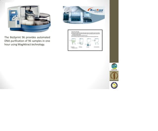 The BioSprint 96 provides automated
DNA purification of 96 samples in one
hour using MagAttract technology.
 