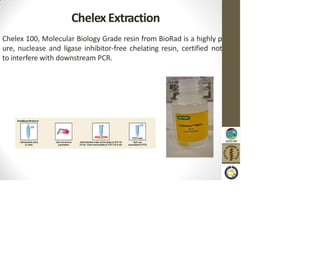 Chelex Extraction
Chelex 100, Molecular Biology Grade resin from BioRad is a highly p
ure, nuclease and ligase inhibitor-free chelating resin, certified not
to interfere with downstream PCR.
 