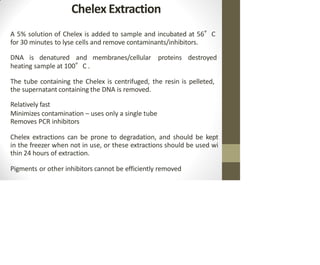 Chelex Extraction
A 5% solution of Chelex is added to sample and incubated at 56°C
for 30 minutes to lyse cells and remove contaminants/inhibitors.
DNA is denatured and membranes/cellular proteins destroyed
heating sample at 100°C .
The tube containing the Chelex is centrifuged, the resin is pelleted,
the supernatant containing the DNA is removed.
Relatively fast
Minimizes contamination – uses only a single tube
Removes PCR inhibitors
Chelex extractions can be prone to degradation, and should be kept
in the freezer when not in use, or these extractions should be used wi
thin 24 hours of extraction.
Pigments or other inhibitors cannot be efficiently removed
 