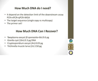 How Much DNA do I need?
• It depend on the detection limit of the downstream assay
PCR<nPCR<qPCR<WGA
• The target sequence (single copy vs multicopy)
• The primer set!
How Much DNA Can I Recover?
• T
oxoplasma oocyst (8 sporozoite=8n) 0.6 pg
• Giardia cyst (16n) 0.3 pg DNA
• Cryptosporidium oocyst (4n) 0.03 pg
• Trichinella muscle larva (2n) 150 pg
 