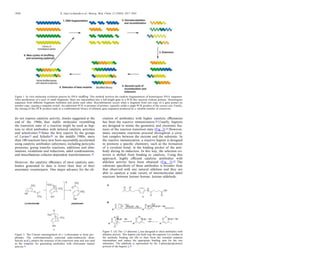 do not express catalytic activity, Jencks suggested at the
end of the 1960s, that stable molecules resembling
the transition state of a reaction might be used as hap-
tens to elicit antibodies with tailored catalytic activities
and selectivities.36 Since the ﬁrst reports by the groups
of Lerner37 and Schultz38 in the middle 1980s, more
than 100 reactions have now been successfully accelerated
using catalytic antibodies (abzymes), including pericyclic
processes, group transfer reactions, additions and elim-
inations, oxidations and reductions, aldol condensations,
and miscellaneous cofactor-dependent transformations.39
However, the catalytic eﬃciency of most catalytic anti-
bodies generated to date is lower than that of their
enzymatic counterparts. One major advance for the eli-
citation of antibodies with higher catalytic eﬃciencies
has been the reactive immunization.40 Usually, haptens
are designed to mimic the geometric and electronic fea-
tures of the reaction transition state (Fig. 2).41 However,
many enzymatic reactions proceed throughout a cova-
lent complex between the enzyme and the substrate. In
the reactive immunization, a reactive hapten is designed
to promote a speciﬁc chemistry, such as the formation
of a covalent bond, in the binding pocket of the anti-
body during its induction. In this way, the selection cri-
terion is shifted from binding to catalysis. Using this
approach, highly eﬃcient catalytic antibodies with
aldolase activity have been obtained (Fig. 3).42 The
substrate speciﬁcity of these antibodies is broader than
that observed with any natural aldolase and they are
able to catalyze a wide variety of intermolecular aldol
reactions between ketone–ketone, ketone–aldehyde,
Figure 2. The Claisen rearrangement of (—)-chorismate to form pre-
phenate. The conformationally restricted endo-oxabicyclic dicar-
boxylic acid 1 mimics the structure of the transition state and was used
as the template for generating antibodies with chorismate mutase
activity.41
Figure 1. In vitro molecular evolution process by DNA shuﬄing. This method involves the random fragmentation of homologous DNA sequences.
After puriﬁcation of a pool of small fragments, these are reassembled into a full-length gene in a PCR-like reaction without primers. Homologous
sequences from diﬀerent fragments hybridize and prime each other. Recombination occurs when a fragment from one copy of a gene primes on
another copy, causing a template switch. An additional PCR in presence of primers, typically yields a single PCR product of the correct size. Finally,
the cloning of this PCR product leads to a combinatorial library of chimeric gene sequences produced by a variable number of crossovers.
Figure 3. (A) The 1,3 diketone 1 was designed to elicit antibodies with
aldolase activity. This hapten can both trap the requisite Lys residue in
the antibody binding site (B) to then form the essential enamine
intermediate and induce the appropiate binding sites for the two
substrates. The aldehyde is represented by the 3-phenylpropiononyl
portion of the hapten 1.42
1820 E. Garcı´a-Junceda et al./ Bioorg. Med. Chem. 12 (2004) 1817–1834
 