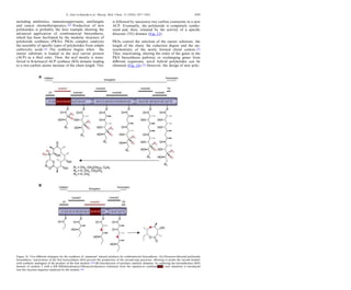 including antibiotics, immunosuppresants, antifungals
and cancer chemotherapeutics.110 Production of new
polyketides is probably the best example showing the
advanced application of combinatorial biosynthesis,
which has been facilitated by the modular structure of
polyketide synthases (PKSs). PKSs complex catalyzes
the assembly of speciﬁc types of polyketides from simple
carboxylic acids.111 The synthesis begins when the
starter substrate is loaded in the acyl carrier protein
(ACP) as a thiol ester. Then, the acyl moiety is trans-
ferred to b-ketoacyl:ACP synthase (KS) domain leading
to a two-carbon atoms increase of the chain length. This
is followed by successive two carbon extensions in a new
ACP. Eventually, the polyketide is completely synthe-
sized and, then, released by the activity of a speciﬁc
thioester (TE) domain (Fig. 15).
PKSs control the selection of the starter substrate, the
length of the chain, the reduction degree and the ste-
reochemistry of the newly formed chiral centres.112
Thus, inactivating, altering the order of the genes in the
PKS biosynthesis pathway or exchanging genes from
diﬀerent organisms, novel hybrid polyketides can be
obtained (Fig. 16).113 However, the design of new poly-
Figure 16. Two diﬀerent strategies for the synthesis of ‘unnatural’ natural products by combinatorial biosynthesis. (A) Precursor-directed polyketide
biosynthesis; inactivation of the ﬁrst ketosynthase (KS) prevent the production of the second-step precursor, allowing to prime the second module
with synthetic analogues of the product of the ﬁrst module.113a (B) Introduction of auxiliary catalytic domains; by replacing the ketoreductase (KR)
domain of module 2 with a KR-DH(dehydratase)-ER(enoylreductase) tridomain from the rapamycin synthase ( ) new chemistry is introduced
into the reaction sequence catalysed by the module.113c
E. Garcı´a-Junceda et al. / Bioorg. Med. Chem. 12 (2004) 1817–1834 1829
 