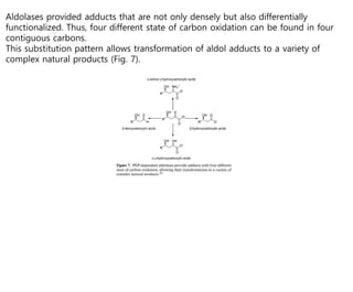 Aldolases provided adducts that are not only densely but also differentially
functionalized. Thus, four different state of carbon oxidation can be found in four
contiguous carbons.
This substitution pattern allows transformation of aldol adducts to a variety of
complex natural products (Fig. 7).
 