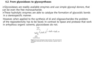 4.2. From glycosidases to glycosynthases
Glycosidases are readily available enzymes and use simple glycosyl donors, that
can be even the free monosacharide.
These hydrolytic enzymes are able to catalyze the formation of glycosidic bonds
in a stereospecific manner.
However, when applied to the synthesis of di and oligosaccharides the problem
of the regioselectivity has to be faced. In contrast to lipase and protease that work
in anhydrous organic solvents, glycosidases do not.
 
