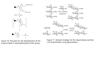 Figure 10. Principle for the development of the
enzyme-labile 4-acyloxybenzyloxy linker group
Figure 11. General strategy for the liquid-phase synthesi
s of disaccharides using glycosidases
 
