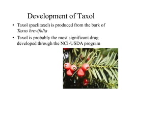 Development of Taxol
• Taxol (paclitaxel) is produced from the bark of
Taxus brevifolia
• Taxol is probably the most significant drug
developed through the NCI-USDA program
 