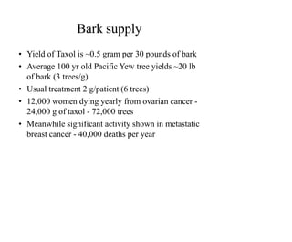 Bark supply
• Yield of Taxol is ~0.5 gram per 30 pounds of bark
• Average 100 yr old Pacific Yew tree yields ~20 lb
of bark (3 trees/g)
• Usual treatment 2 g/patient (6 trees)
• 12,000 women dying yearly from ovarian cancer -
24,000 g of taxol - 72,000 trees
• Meanwhile significant activity shown in metastatic
breast cancer - 40,000 deaths per year
 