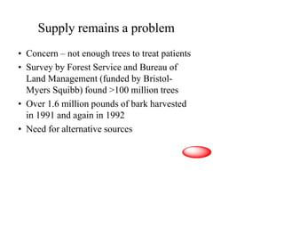 Supply remains a problem
• Concern – not enough trees to treat patients
• Survey by Forest Service and Bureau of
Land Management (funded by Bristol-
Myers Squibb) found >100 million trees
• Over 1.6 million pounds of bark harvested
in 1991 and again in 1992
• Need for alternative sources
 