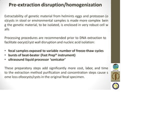 Extractability of genetic material from helmints eggs and protozoan (o
o)cysts in stool or environmental samples is made more complex bein
g the genetic material, to be isolated, is enclosed in very robust cell w
alls
Processing procedures are recommended prior to DNA extraction to
facilitate oocyst/cyst wall disruption and nucleic acid isolation:
• fecal samples exposed to variable number of freeze-thaw cycles
• bursts of beat-beater (Fast Prep® instrument)
• ultrasound liquid processor ‘sonicator’
These preparatory steps add significantly more cost, labor, and time
to the extraction method purification and concentration steps cause s
ome loss ofoocysts/cysts in the original fecal specimen.
Pre-extraction disruption/homogenization
 