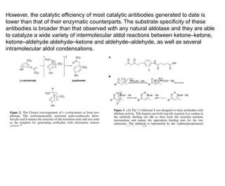 However, the catalytic efficiency of most catalytic antibodies generated to date is
lower than that of their enzymatic counterparts. The substrate specificity of these
antibodies is broader than that observed with any natural aldolase and they are able
to catalyze a wide variety of intermolecular aldol reactions between ketone–ketone,
ketone–aldehyde aldehyde–ketone and aldehyde–aldehyde, as well as several
intramolecular aldol condensations.
 