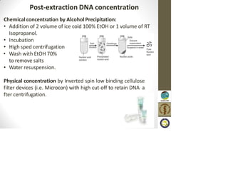 Post-extraction DNA concentration
Chemical concentration by Alcohol Precipitation:
• Addition of 2 volume of ice cold 100% EtOH or 1 volume of RT
Isopropanol.
• Incubation
• High sped centrifugation
• Wash with EtOH 70%
to remove salts
• Water resuspension.
Physical concentration by Inverted spin low binding cellulose
filter devices (i.e. Microcon) with high cut-off to retain DNA a
fter centrifugation.
 