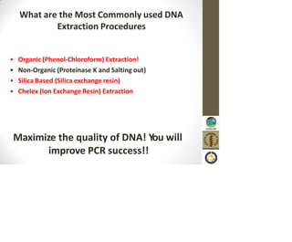 What are the Most Commonly used DNA
Extraction Procedures
• Organic (Phenol-Chloroform) Extraction!
• Non-Organic (Proteinase K and Salting out)
• Silica Based (Silica exchange resin)
• Chelex (Ion Exchange Resin) Extraction
Maximize the quality of DNA! You will
improve PCR success!!
 
