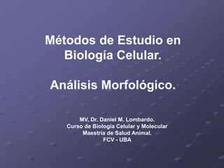 Métodos de Estudio en
Biología Celular.
Análisis Morfológico.
MV. Dr. Daniel M. Lombardo.
Curso de Biología Celular y Molecular
Maestría de Salud Animal.
FCV - UBA
 