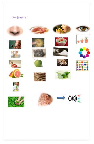 Ver (anexo 2)
 