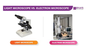 1 Microscopes.pdf