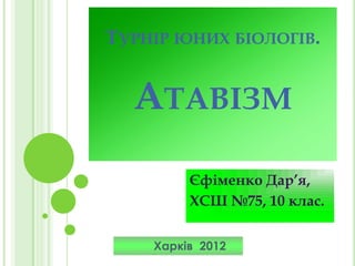 Презентация 1 Microsoft Office Power Point | PPT