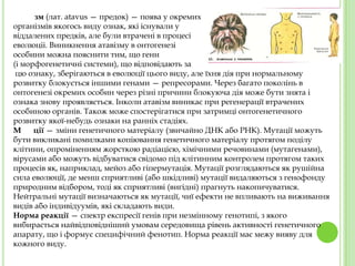 Презентация 1 Microsoft Office Power Point | PPT