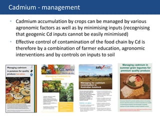 Cadmium - management
• Cadmium accumulation by crops can be managed by various
agronomic factors as well as by minimising inputs (recognising
that geogenic Cd inputs cannot be easily minimised)
• Effective control of contamination of the food chain by Cd is
therefore by a combination of farmer education, agronomic
interventions and by controls on inputs to soil
 