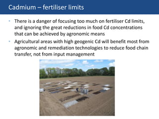 Cadmium – fertiliser limits
• There is a danger of focusing too much on fertiliser Cd limits,
and ignoring the great reductions in food Cd concentrations
that can be achieved by agronomic means
• Agricultural areas with high geogenic Cd will benefit most from
agronomic and remediation technologies to reduce food chain
transfer, not from input management
 