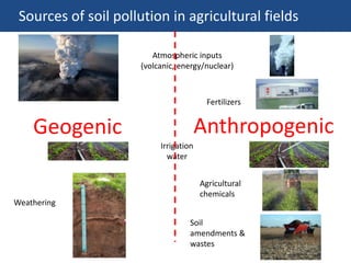 Irrigation
water
Fertilizers
Soil
amendments &
wastes
Weathering
Atmospheric inputs
(volcanic, energy/nuclear)
Sources of soil pollution in agricultural fields
Agricultural
chemicals
Geogenic Anthropogenic
 