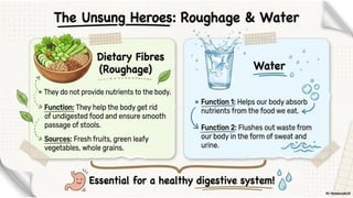 Class 6 CBSE Science Chapter 3 – Mindful Eating: A Path to a Healthy Body | PDF Notes & Presentation | NCERT 2026-27