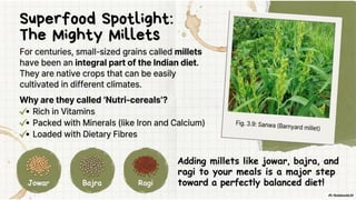 Class 6 CBSE Science Chapter 3 – Mindful Eating: A Path to a Healthy Body | PDF Notes & Presentation | NCERT 2026-27