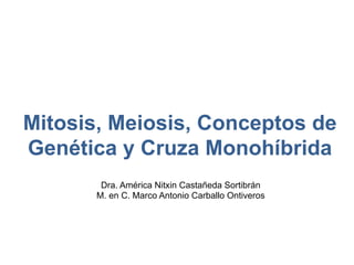 Mitosis, Meiosis, Conceptos de
Genética y Cruza Monohíbrida
Dra. América Nitxin Castañeda Sortibrán
M. en C. Marco Antonio Carballo Ontiveros
	
  
 