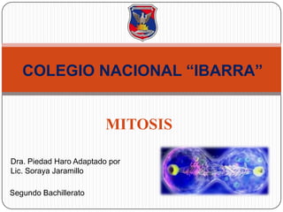 COLEGIO NACIONAL “IBARRA”


                         MITOSIS

Dra. Piedad Haro Adaptado por
Lic. Soraya Jaramillo

Segundo Bachillerato
 