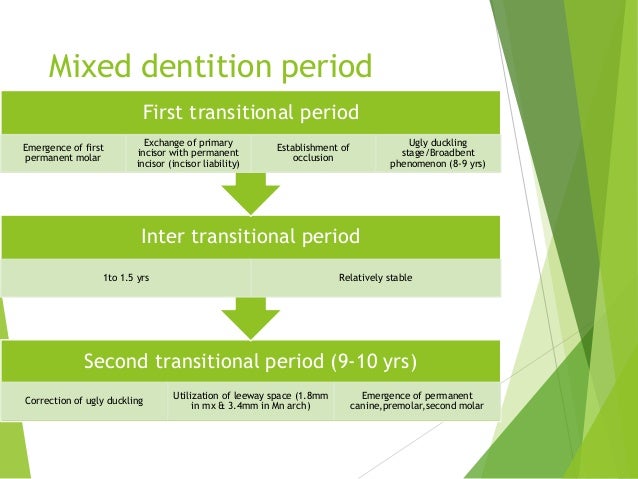 mixed dentition analysis charting mixed dentition