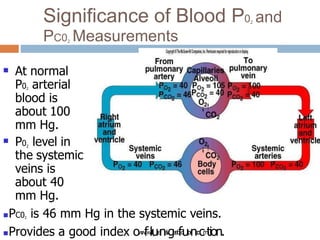 physiology_of_respiration_.pptx