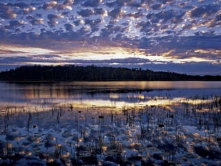 1m mb 4_national_geographic