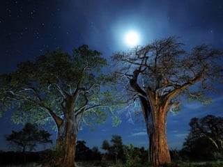 1m mb 4_national_geographic