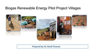 Biogas Renewable Energy Pilot Project Villages
Prepared by: Dr. David Tinarwo
 