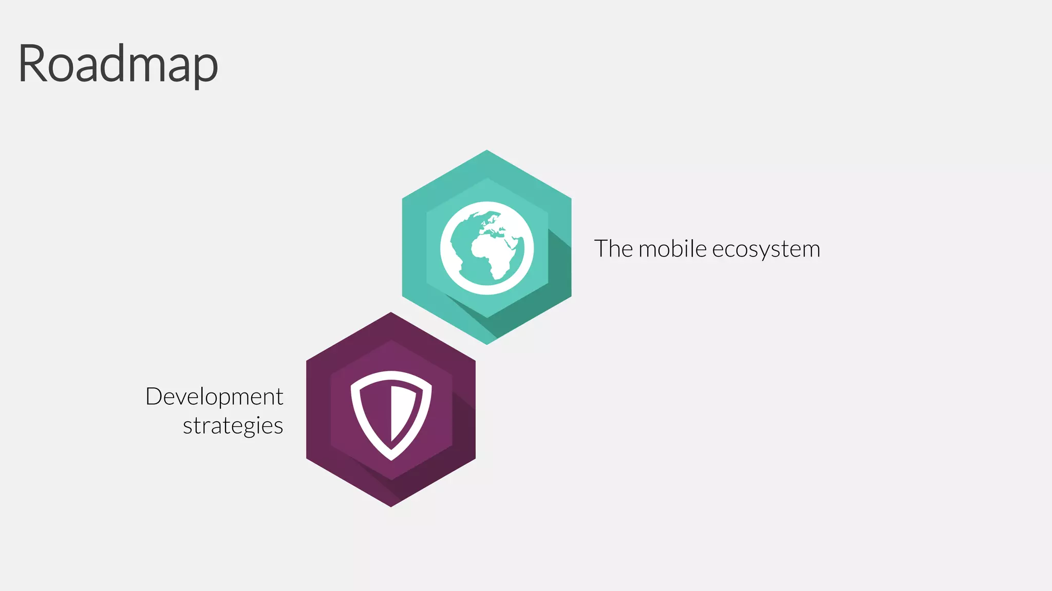 Roadmap

The mobile ecosystem

Development
strategies

 