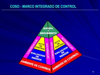 COSO - MARCO INTEGRADO DE CONTROL




                                    19
 