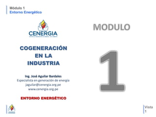Vista
1
Módulo 1
Entorno Energético
COGENERACIÓN
EN LA
INDUSTRIA
Ing. José Aguilar Bardales
Especialista en generación de energía
jaguilar@cenergia.org.pe
www.cenergia.org.pe
ENTORNO ENERGÉTICO
 