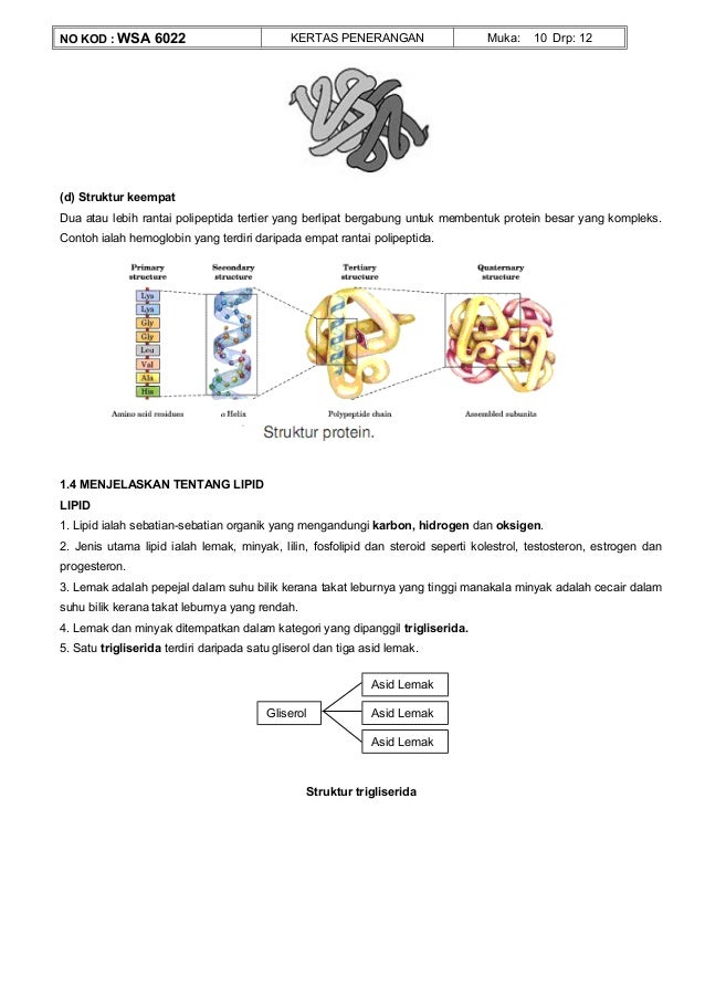 Kertas Penerangan Modul 1 Komposisi Kimia dalam Sel Sains 