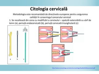 Metodologia este recomandată de directivele europene pentru asigurarea
calităţii în screeningul cancerului cervical
1. Se recoltează din zona cu modificări a cervixului – spatulă extensibilă cu vârf de
lemn (a), periuţă endocervicală (b), periuţă cervicală triunghiulară (c)
Citologia cervicală
c
http://www.eurocytology.eu/static/eurocytology/Quality%20Assurance2.pdf
 