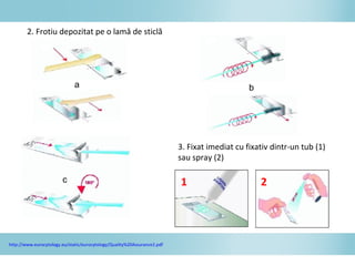 2. Frotiu depozitat pe o lamă de sticlă
3. Fixat imediat cu fixativ dintr-un tub (1)
sau spray (2)
a
c
b
21
http://www.eurocytology.eu/static/eurocytology/Quality%20Assurance2.pdf
 