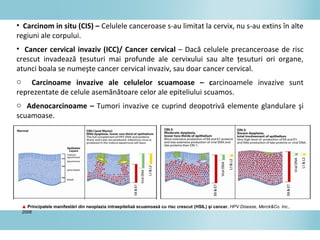 • Carcinom in situ (CIS) – Celulele canceroase s-au limitat la cervix, nu s-au extins în alte
regiuni ale corpului.
• Cancer cervical invaziv (ICC)/ Cancer cervical – Dacă celulele precanceroase de risc
crescut invadează ţesuturi mai profunde ale cervixului sau alte ţesuturi ori organe,
atunci boala se numeşte cancer cervical invaziv, sau doar cancer cervical.
o Carcinoame invazive ale celulelor scuamoase – carcinoamele invazive sunt
reprezentate de celule asemănătoare celor ale epiteliului scuamos.
o Adenocarcinoame – Tumori invazive ce cuprind deopotrivă elemente glandulare şi
scuamoase.
▲ Principalele manifestări din neoplazia intraepiteliaă scuamoasă cu risc crescut (HSIL) şi cancer. HPV Disease, Merck&Co. Inc.,
2006
 