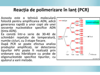 Aceasta este o tehnică moleculară
folosită pentru amplificarea ADN, adică
generarea rapidă a unor copii ale unei
secvenţe nucleotidice specifice ADN
(ţinta ADN).
Ea constă într-o serie de 30-40 de
schimbări repetate de temperatură,
numite cicluri, cu 3 etape fiecare.
După PCR se poate efectua analiza
produşilor amplificaţi, iar detectarea
tipurilor HPV poate fi realizată prin
ordonare sau hibridizare cu probe de
oligonucleotide specifice tipurilor, cu
ajutorul a varii metode.
Reacţia de polimerizare în lanţ (PCR)
 