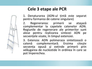 1. Denaturarea (ADN-ul ţintă este separat
pentru formarea de catene singulare)
2. Regenerarea: primerii se ataşază
complementar la capetele catenelor ADN.
Regiunile de regenerare ale primerilor sunt
alese pentru realizarea sintezei ADN pe
secvenţele vizate, în timpul extensiei.
3. Extensia: ADN polimeraza sintetizează o
catenă complementară. Enzima citeşte
secvenţa opusă şi extinde primerii prin
adăugarea de nucleotide în ordinea în care se
pot împerechea.
Cele 3 etape ale PCR
 