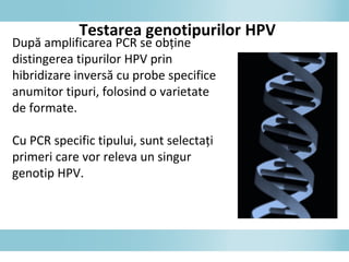 Testarea genotipurilor HPV
După amplificarea PCR se obţine
distingerea tipurilor HPV prin
hibridizare inversă cu probe specifice
anumitor tipuri, folosind o varietate
de formate.
Cu PCR specific tipului, sunt selectaţi
primeri care vor releva un singur
genotip HPV.
 