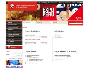 www.siicex.gob.pe
 
