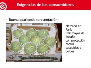 - Buena apariencia (presentación)
Mercado de
París
Chirimoyas de
España
con protección
contra
sacudidas y
golpes
Servicios al exportadorExigencias de los consumidores
 