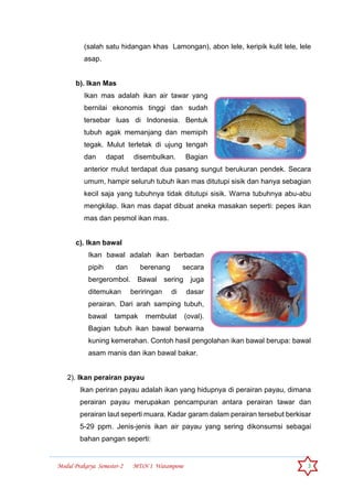 Modul Prakarya Semester-2 MTsN 1 Watampone 3
(salah satu hidangan khas Lamongan), abon lele, keripik kulit lele, lele
asap.
b). Ikan Mas
Ikan mas adalah ikan air tawar yang
bernilai ekonomis tinggi dan sudah
tersebar luas di Indonesia. Bentuk
tubuh agak memanjang dan memipih
tegak. Mulut terletak di ujung tengah
dan dapat disembulkan. Bagian
anterior mulut terdapat dua pasang sungut berukuran pendek. Secara
umum, hampir seluruh tubuh ikan mas ditutupi sisik dan hanya sebagian
kecil saja yang tubuhnya tidak ditutupi sisik. Warna tubuhnya abu-abu
mengkilap. Ikan mas dapat dibuat aneka masakan seperti: pepes ikan
mas dan pesmol ikan mas.
c). Ikan bawal
Ikan bawal adalah ikan berbadan
pipih dan berenang secara
bergerombol. Bawal sering juga
ditemukan beriringan di dasar
perairan. Dari arah samping tubuh,
bawal tampak membulat (oval).
Bagian tubuh ikan bawal berwarna
kuning kemerahan. Contoh hasil pengolahan ikan bawal berupa: bawal
asam manis dan ikan bawal bakar.
2). Ikan perairan payau
Ikan periran payau adalah ikan yang hidupnya di perairan payau, dimana
perairan payau merupakan pencampuran antara perairan tawar dan
perairan laut seperti muara. Kadar garam dalam perairan tersebut berkisar
5-29 ppm. Jenis-jenis ikan air payau yang sering dikonsumsi sebagai
bahan pangan seperti:
 